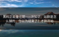 黑料正能量往期——冷知识：站群是怎么铺的 · 你以为结束了？才刚开始