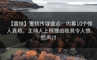 【震惊】蜜桃传媒盘点：内幕10个惊人真相，主持人上榜理由极其令人愤怒声讨