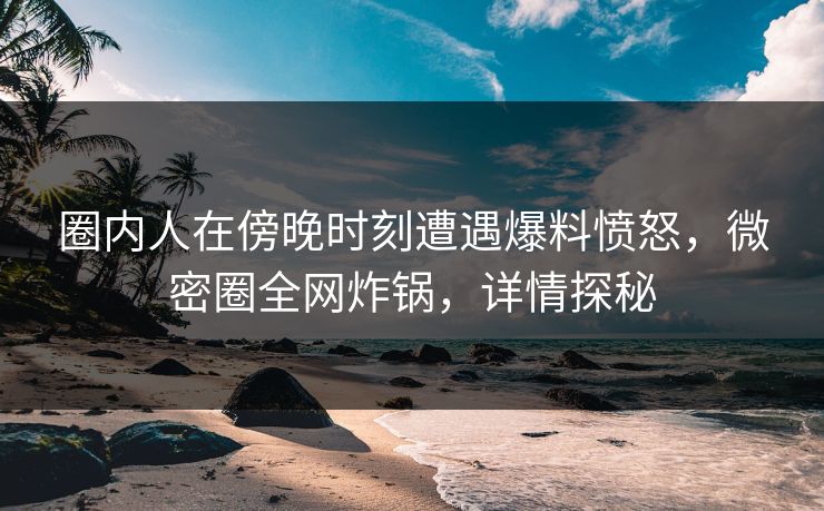 圈内人在傍晚时刻遭遇爆料愤怒，微密圈全网炸锅，详情探秘