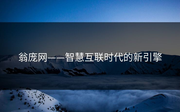翁庞网——智慧互联时代的新引擎