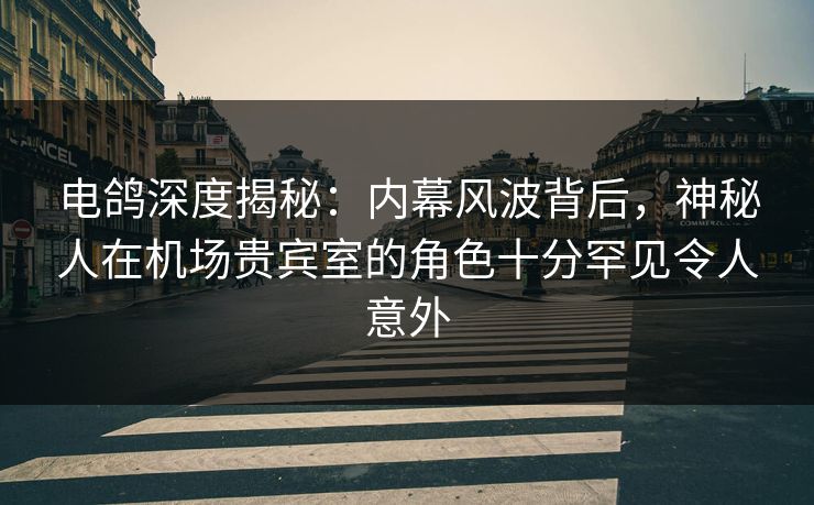 电鸽深度揭秘：内幕风波背后，神秘人在机场贵宾室的角色十分罕见令人意外