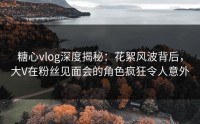 糖心vlog深度揭秘：花絮风波背后，大V在粉丝见面会的角色疯狂令人意外